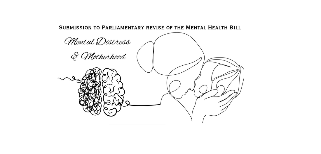 Social Nexus Submission for the Parliamentary Mental Health Bill Review